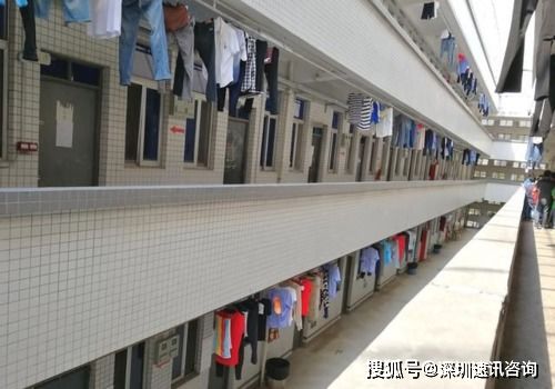 驗廠對宿舍、食堂與醫療的要求全解析 掌握標準，輕松通過住宿服務審核